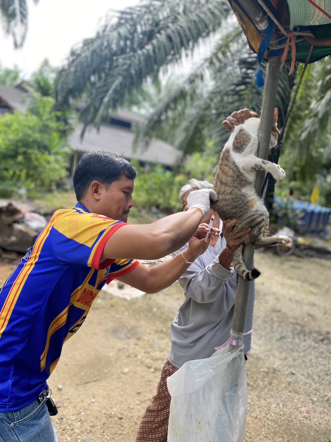 วันที่​ 7 กรกฎาคม 2568 ลงพื้นที่หมู่ที่​ 5 บ้านปลายทับใหม่ ตามแผนปฏิบัติการออกหน่วยฉีดวัคซีนป้องกันโรคพิษสุนัขบ้า ประจำปี 2568 ในกิจกรรมลงพื้นที่ฉีดวัคซีนป้องกันโรคพิษสุนัขบ้า​ สุนัขและแมวในชุมชน